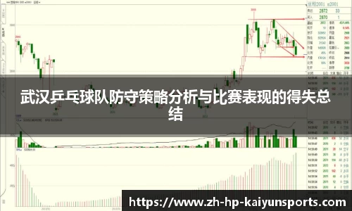 武汉乒乓球队防守策略分析与比赛表现的得失总结